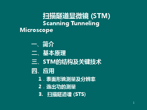 扫描隧道显微镜(STM)PPT课件