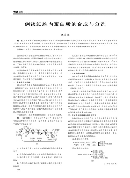 例谈细胞内蛋白质的合成与分选