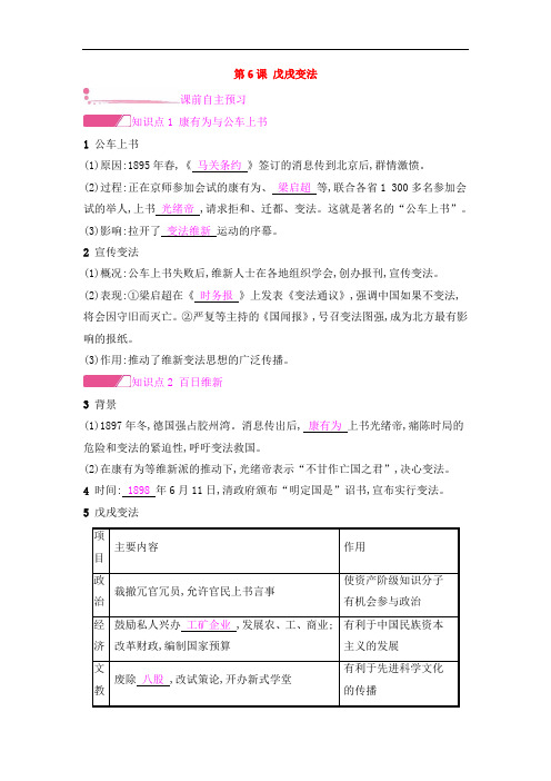 人教版八年级历史上册第二单元近代化的早期探索与民族危机的加剧第6课戊戌变法课时作业