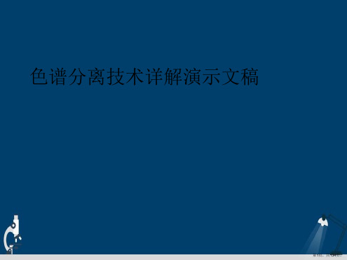 色谱分离技术详解演示文稿