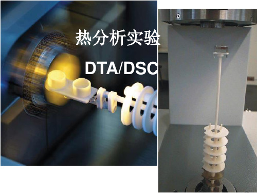 DTA热分析-刘春凤