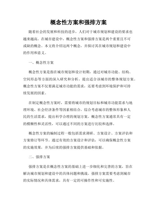 概念性方案和强排方案