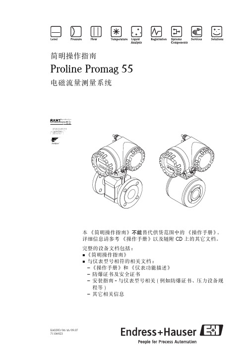 E+H电磁流量计设置