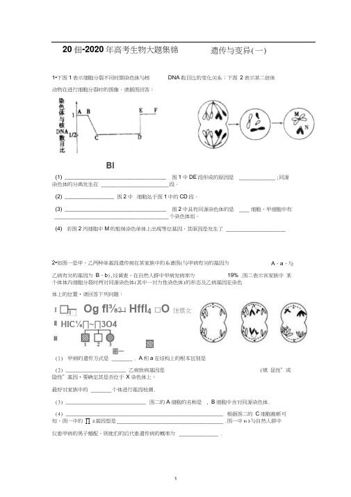 2019-2020年高考生物大题集锦——遗传与变异(一)