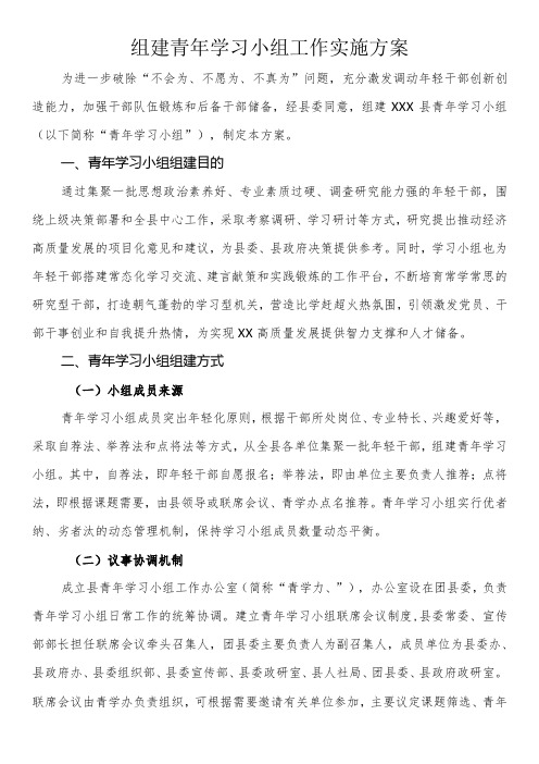 组建青年学习小组工作实施方案