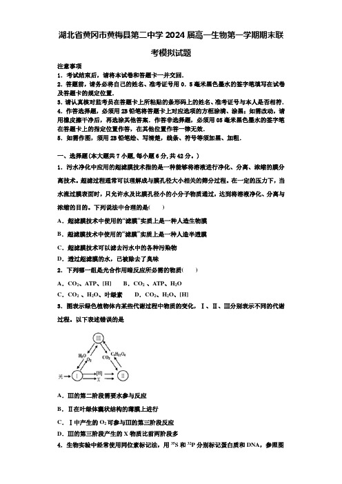 湖北省黄冈市黄梅县第二中学2024届高一生物第一学期期末联考模拟试题含解析