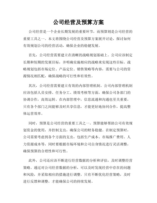 公司经营及预算方案