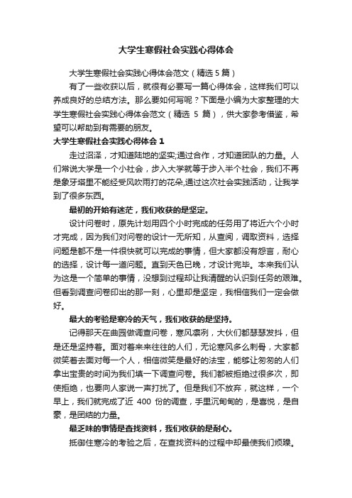 大学生寒假社会实践心得体会范文（精选5篇）