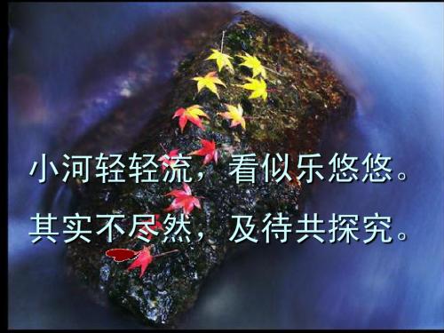 液体的压强(第二课时)