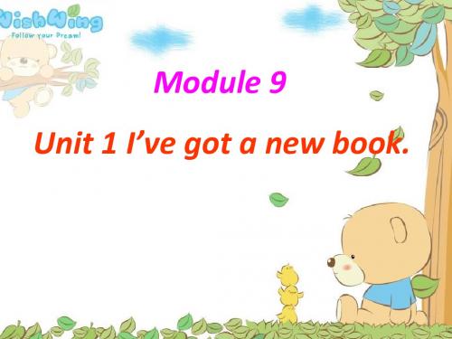 三年级下册英语课件-Module 9Unit 1 I've got a new book∣外研版(三起) (共19张PPT)