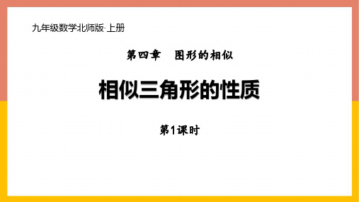 北师大版九年级数学上册 (相似三角形的性质)图形的相似课件(第1课时)