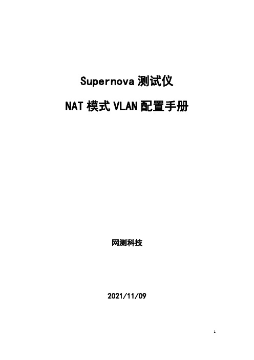 Supernova 测试仪 NAT 模式 VLAN 配置手册说明书