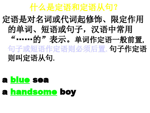 高考英语第一轮重点语法复习:定语从句