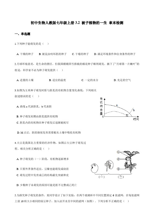 初中生物人教版七年级上册3.2 被子植物的一生 章末检测(解析版)