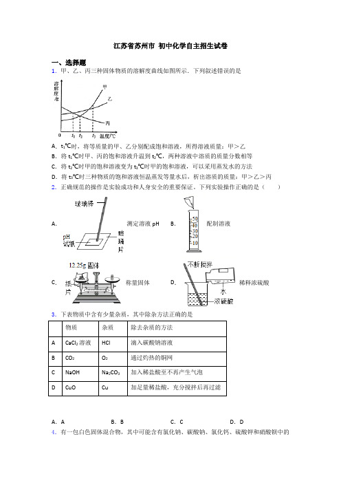 江苏省苏州市 初中化学自主招生试卷