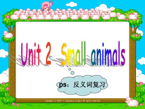 一年级英语Small_animals课件1a