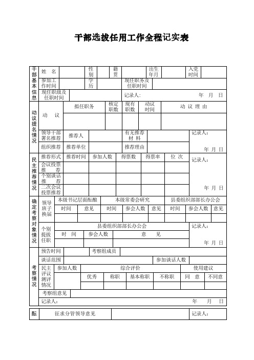 干部选拔任用工作全程记实表