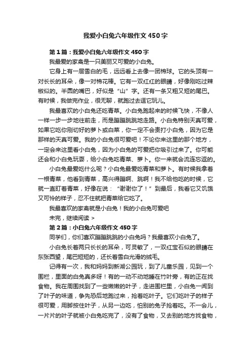 我爱小白兔六年级作文450字