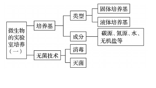 21微生物的实验室培养-吉林省长春市第二中学高中生物选修一习题课件(共30张PPT)