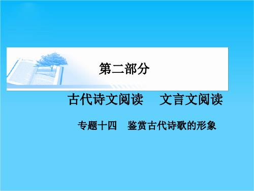 高考语文基础知识总复习精讲课件专题十四 鉴赏古代诗歌的形象(46张PPT)