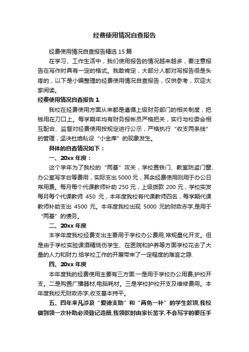 经费使用情况自查报告