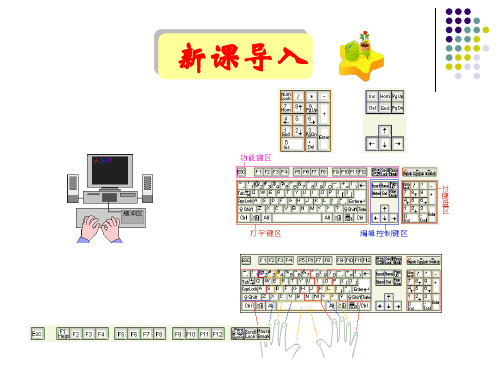 键盘上字母的排列规律