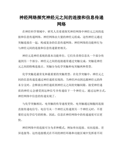 神经网络探究神经元之间的连接和信息传递网络