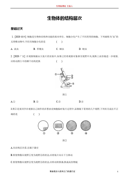 优质2021年中考生物总复习分层训练： 生物体的结构层次(部分试题解析 )