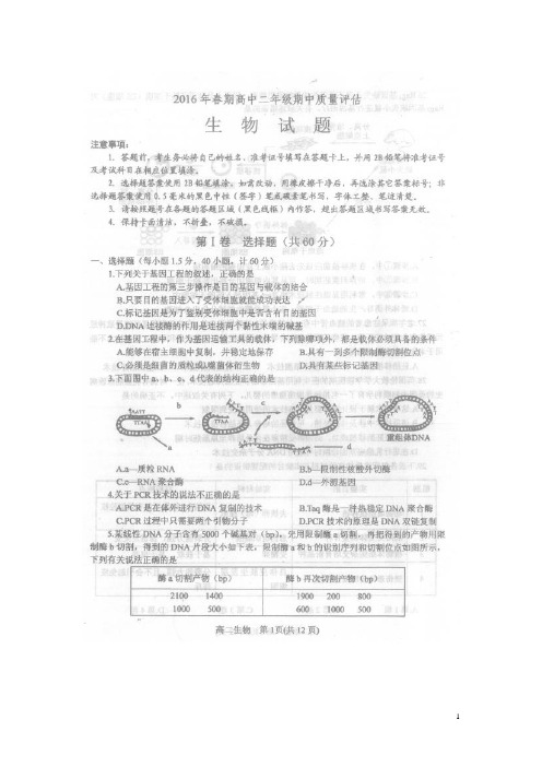 河南省南阳市高二生物下学期期中质量评估试题(扫描版)