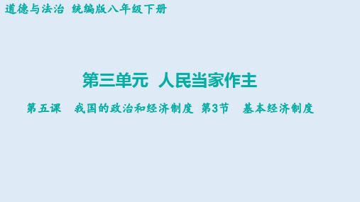 基本经济制度 统编版道德与法治八年级下册