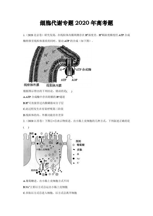 高中生物细胞代谢专题2020年高考题汇总附答案