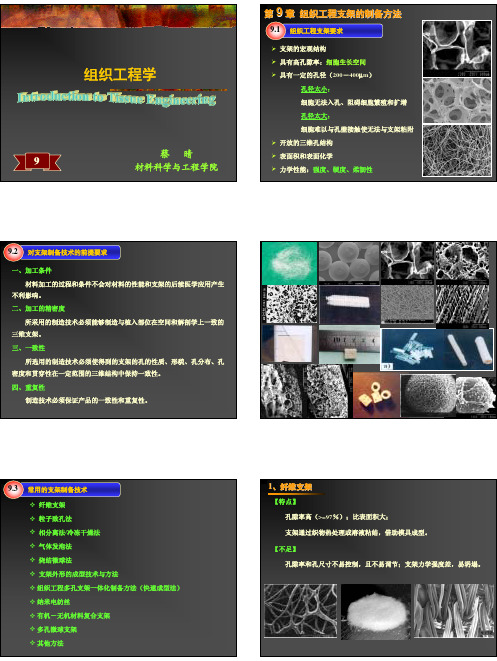组织工程学-第九章