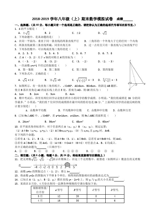 2018-2019学年八年级(上)期末数学模拟试卷