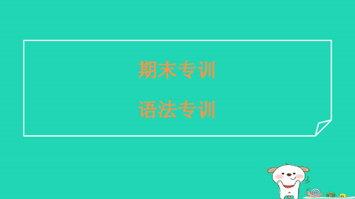 八年级上册期末专训语法专训习题冀教版