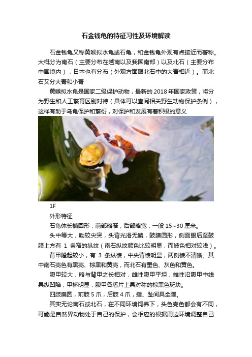 石金钱龟的特征习性及环境解读