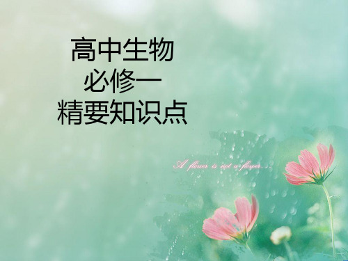 高中生物必修一精要知识点背默列单(附答案).ppt