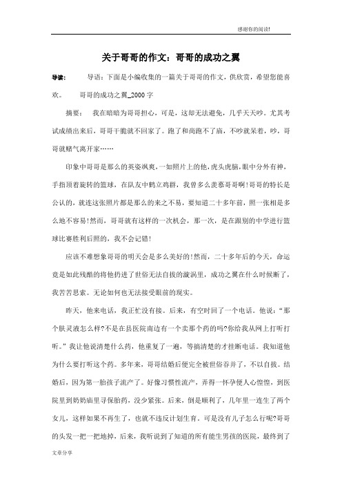 关于哥哥的作文：哥哥的成功之翼