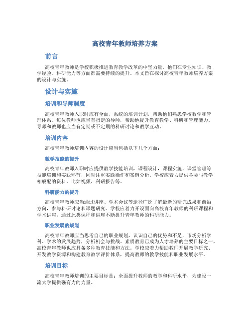 高校青年教师培养方案