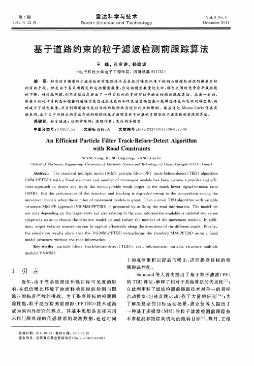 基于道路约束的粒子滤波检测前跟踪算法