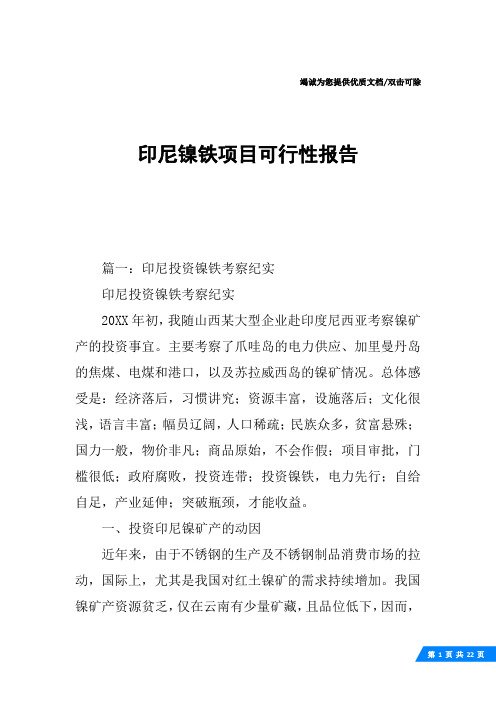 印尼镍铁项目可行性报告