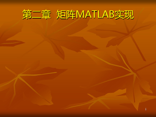 第二章  MATLAB矩阵实现