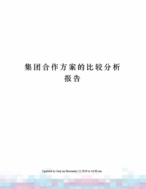 集团合作方案的比较分析报告