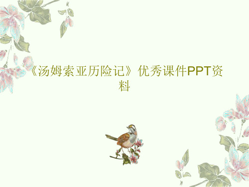 《汤姆索亚历险记》优秀课件PPT资料57页PPT