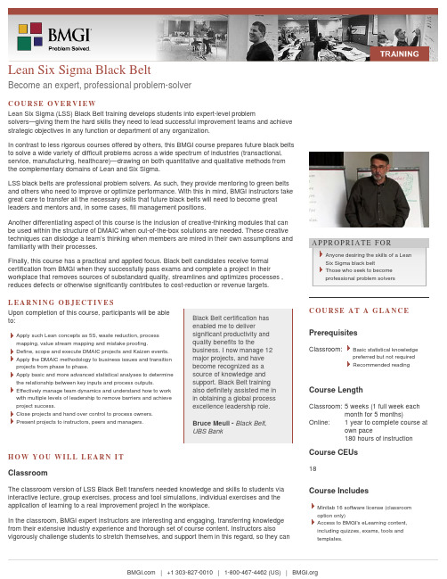 lean_six_sigma_black_belt_-_bmgi