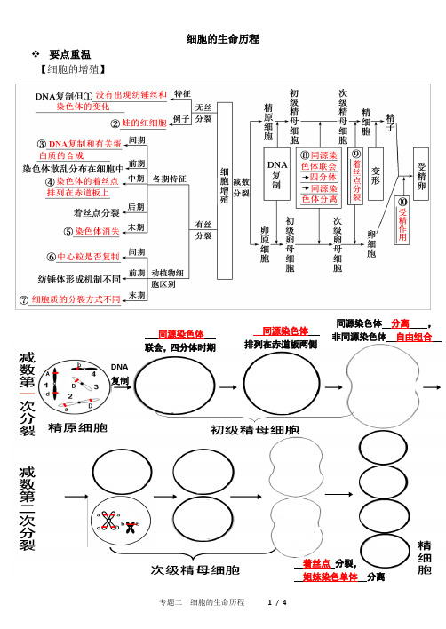 细胞生命历程基础