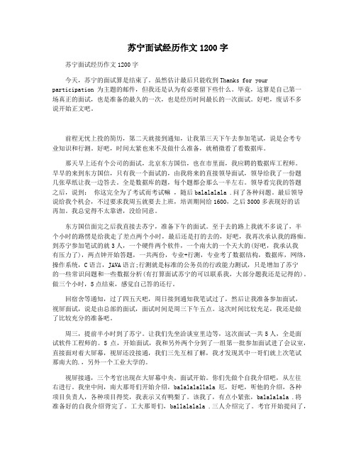 苏宁面试经历作文1200字