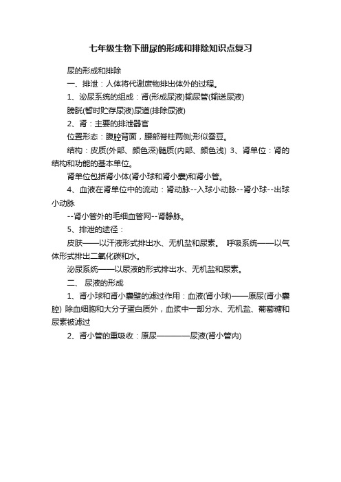 七年级生物下册尿的形成和排除知识点复习