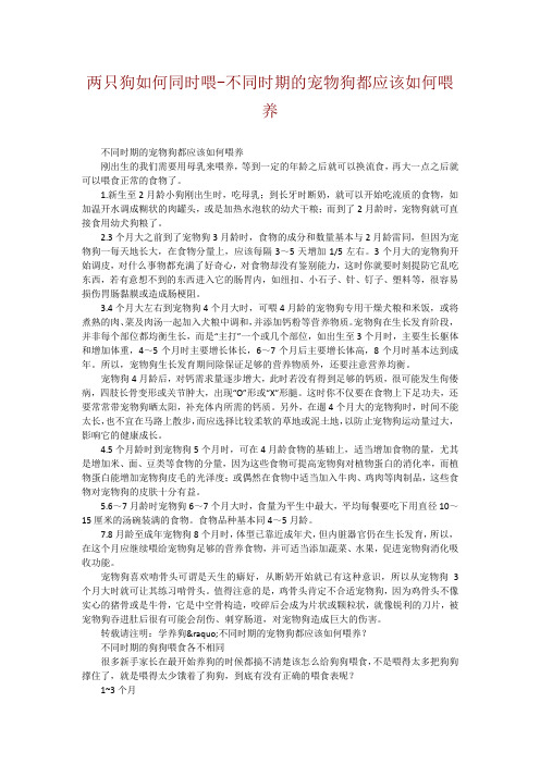 两只狗如何同时喂-不同时期的宠物狗都应该如何喂养