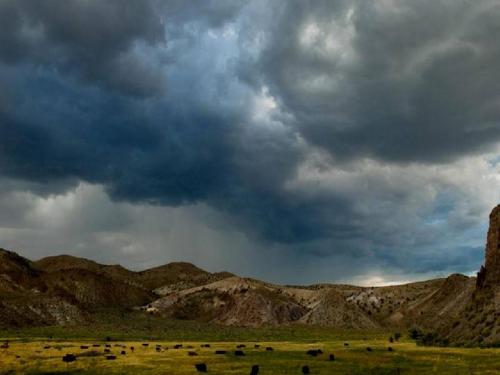 部编版一年级语文下册《要下雨了》课件