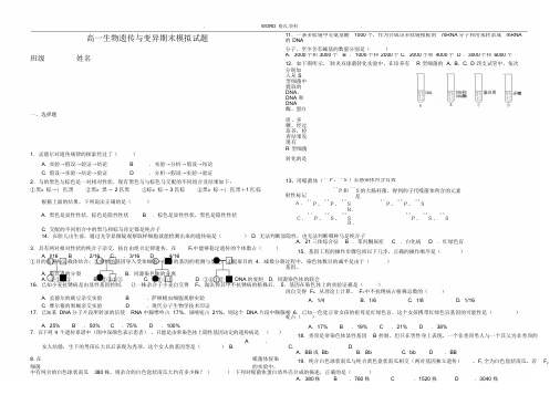 高中生物必修二期末试题和答案解析